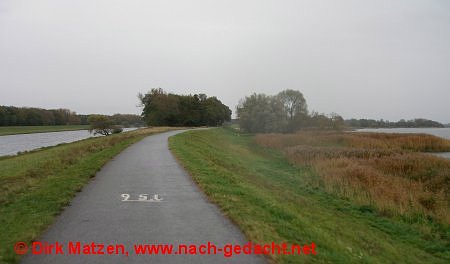 Radeln zwischen Gnevsdorfer Vorfluter und Elbe