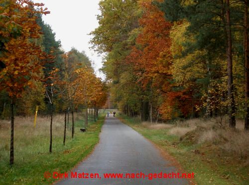 Radweg mit Herbstverfrbung