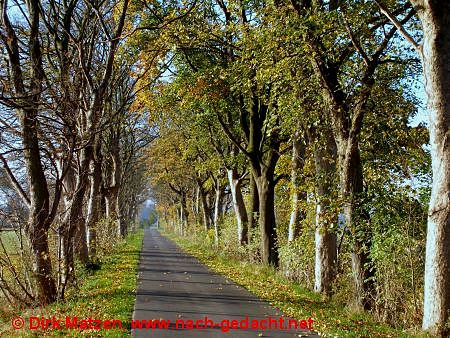 Weg von Paulinenaue nach Ribbeck