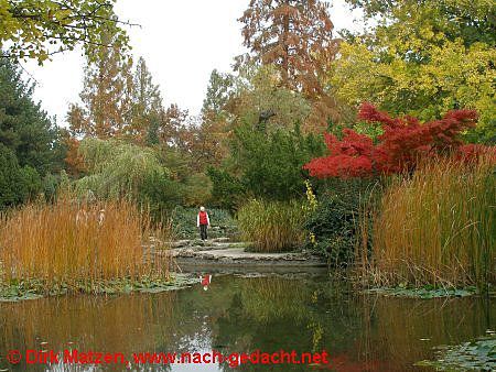 Budapest, Japanischer Garten im Herbst