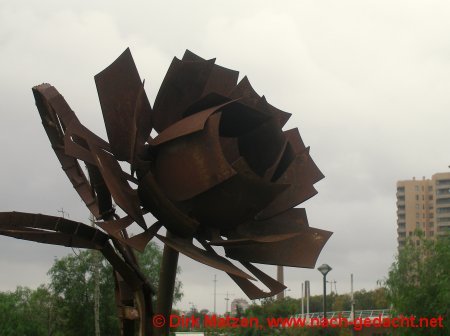 Valencia, Eiserne Rose