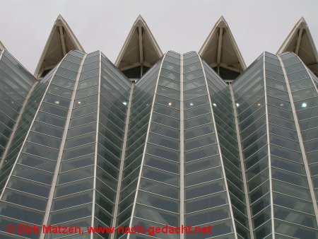 Valencia, Strukturen am Wissenschaftsmuseum