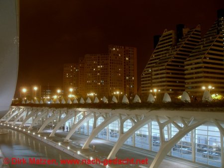 Valencia, Oper "Palau de les Arts Reina Sofa"