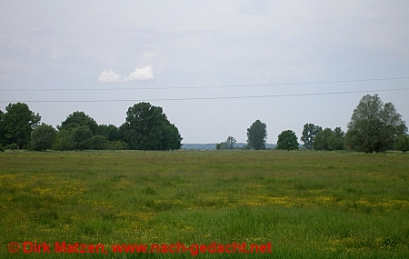 Im Nationalpark Warthemndung