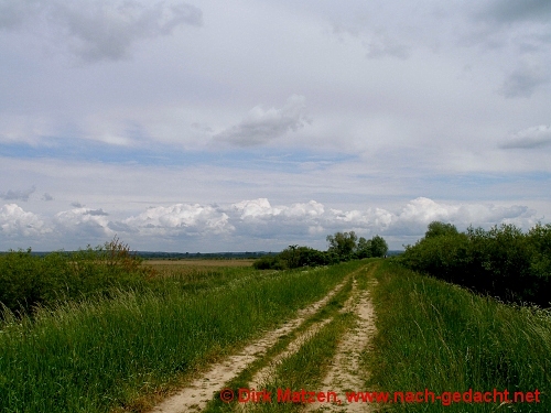 Nationalpark Wartemndung in Polen