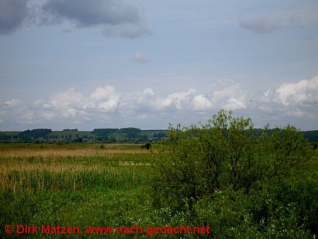 Im Nationalpark Warthemndung