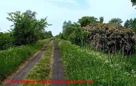 Im Nationalpark Warthemndung