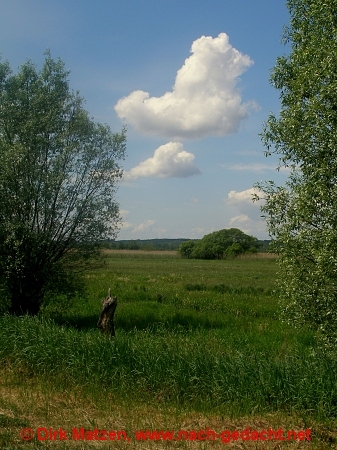 Im Nationalpark Warthemndung