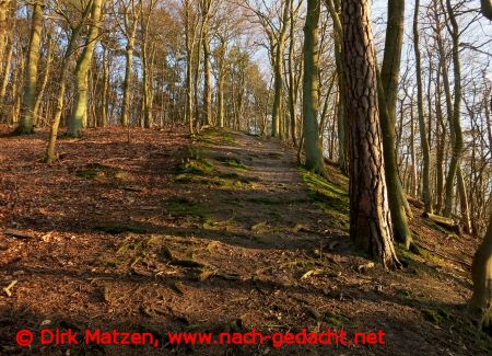 Wanderweg im Nationalpark Wolin